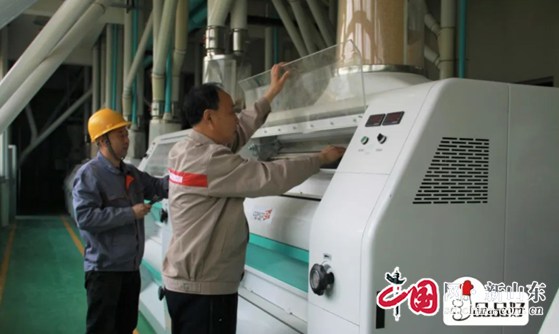 1701408995456819.jpg 20230830034922743.jpg